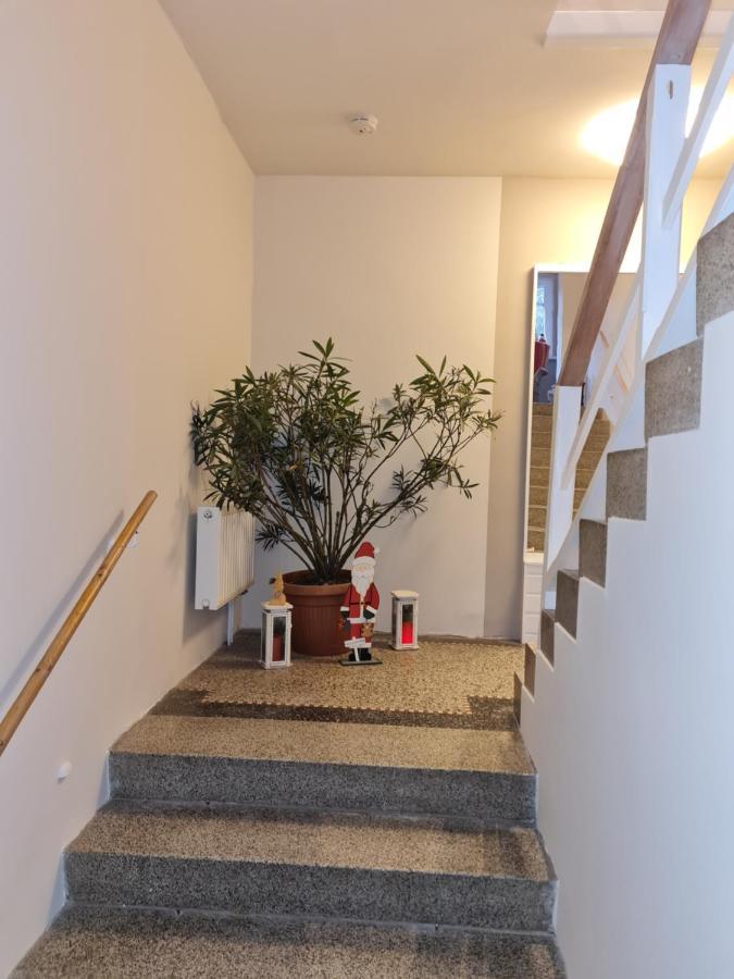 Apartmán Haus Fernblick Kurort Bärenburg Exteriér fotografie
