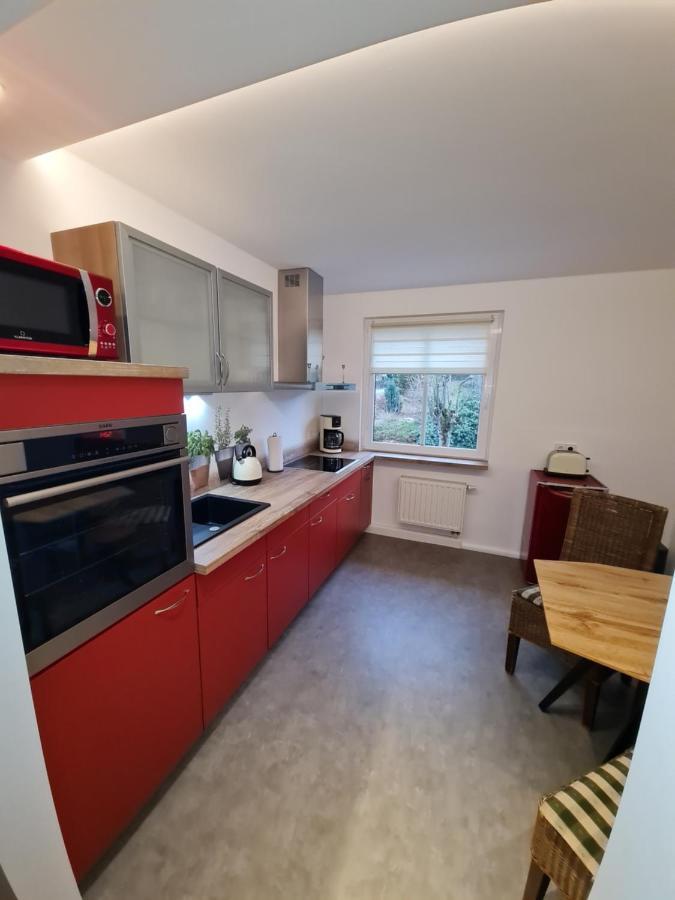 Apartmán Haus Fernblick Kurort Bärenburg Exteriér fotografie
